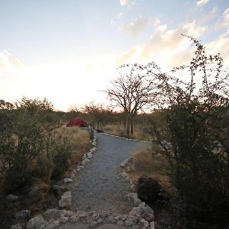 Etosha Village Campsite Окаукуехо Екстериор снимка