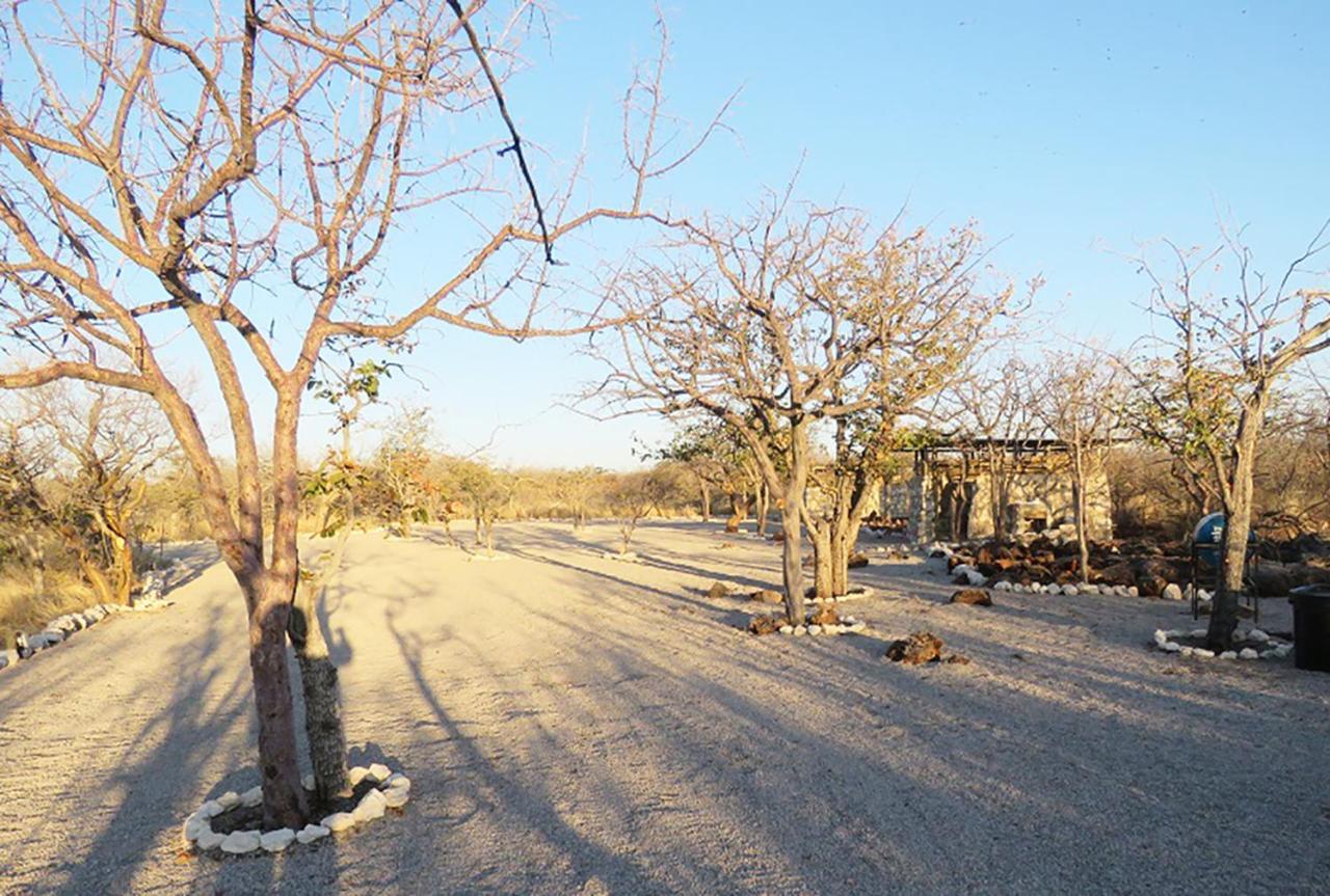 Etosha Village Campsite Окаукуехо Екстериор снимка