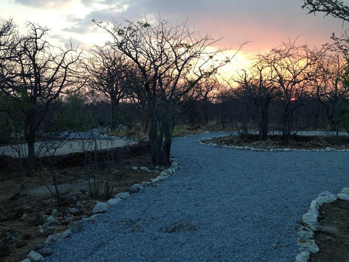 Etosha Village Campsite Окаукуехо Екстериор снимка