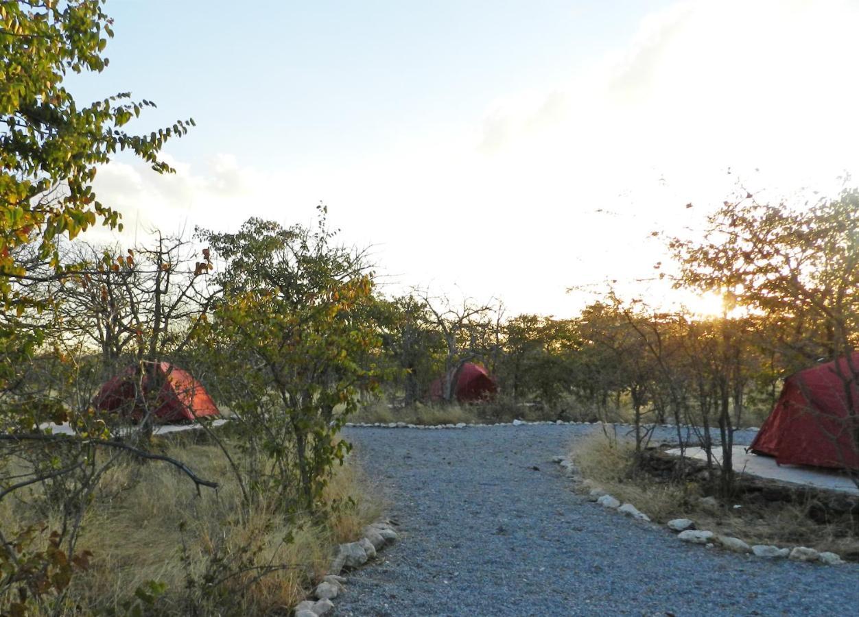 Etosha Village Campsite Окаукуехо Екстериор снимка