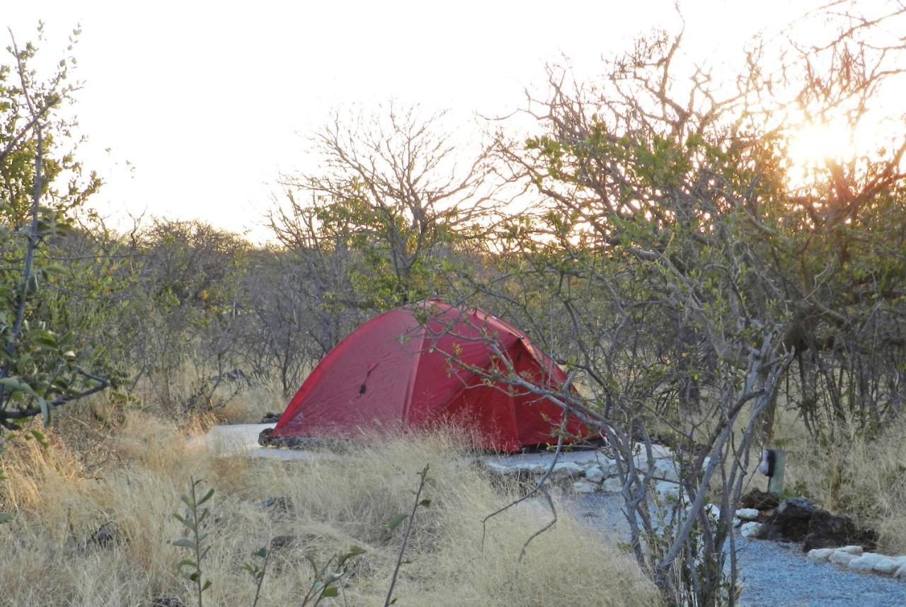 Etosha Village Campsite Окаукуехо Екстериор снимка