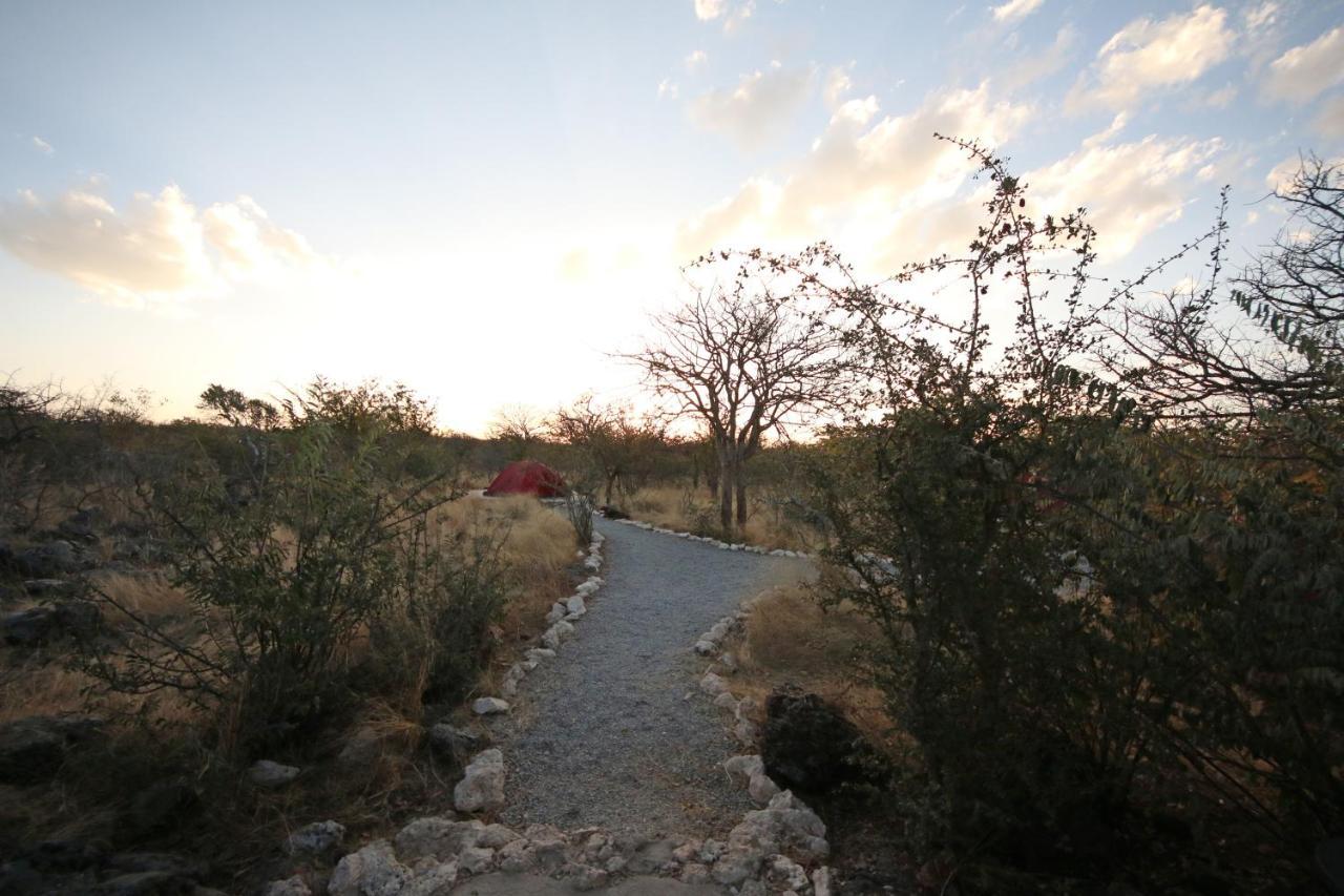 Etosha Village Campsite Окаукуехо Екстериор снимка