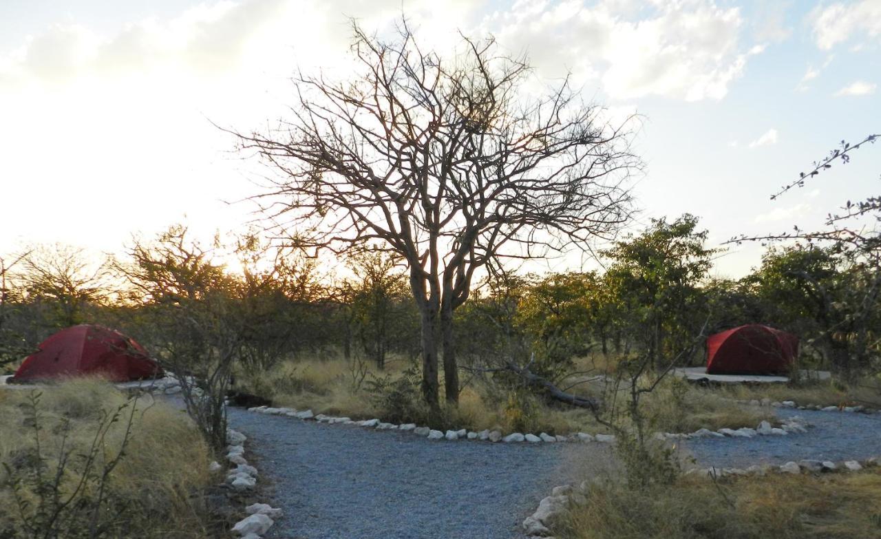 Etosha Village Campsite Окаукуехо Екстериор снимка